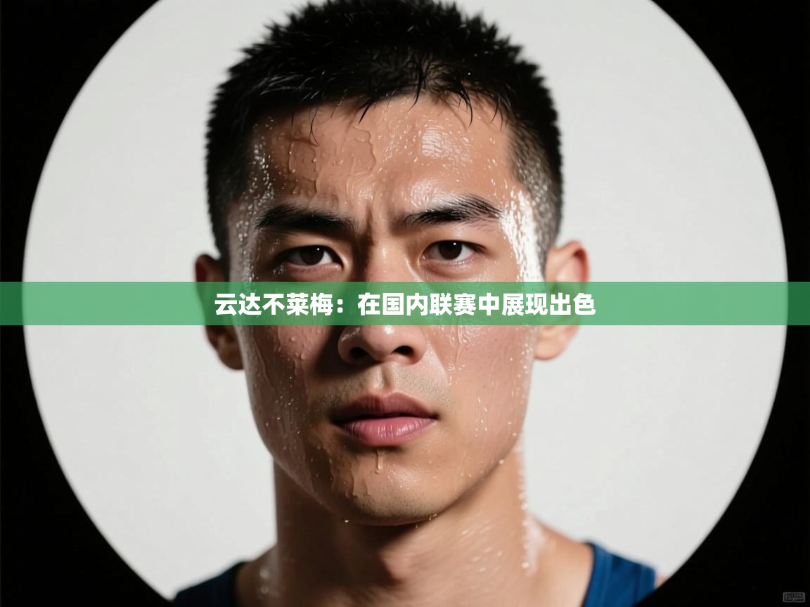 云达不莱梅:在国内联赛中展现出色 第2张