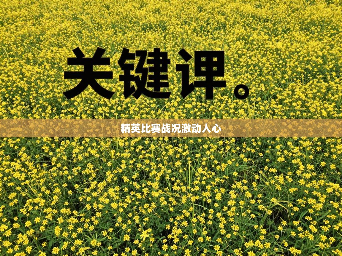 精英比赛战况激动人心  第2张